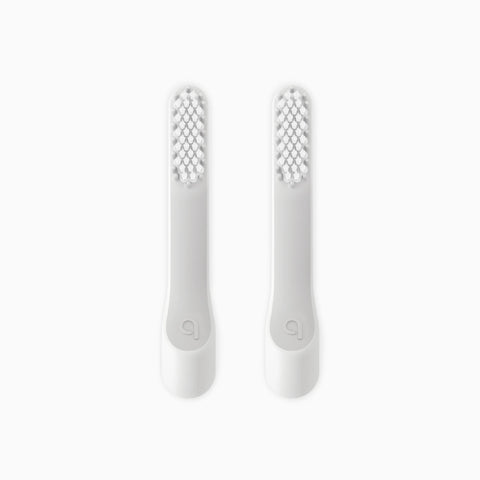 Standard Soft Brush Head Refill