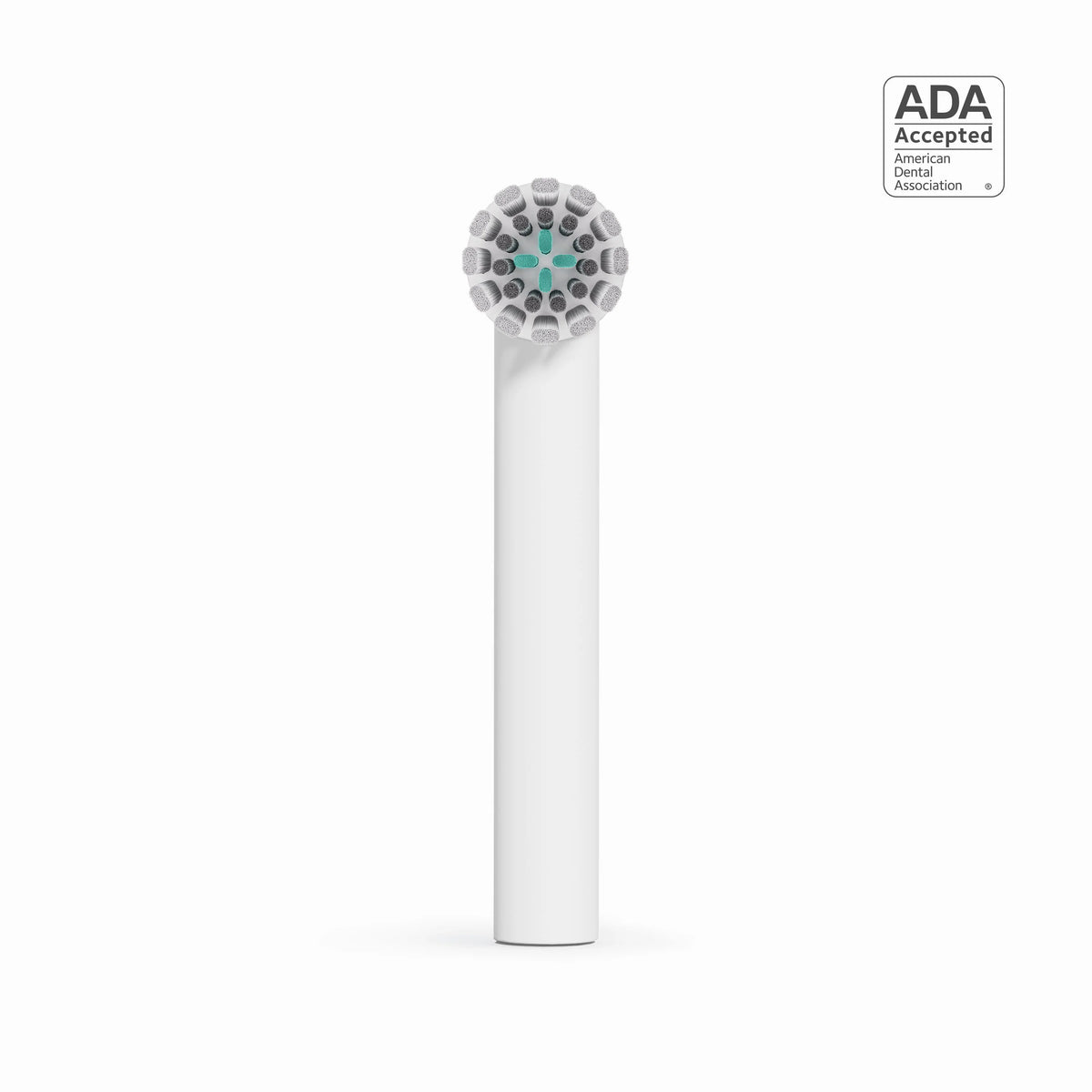 Rev Oscillating Brush Head