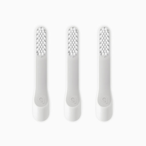Standard Soft Brush Head Refill