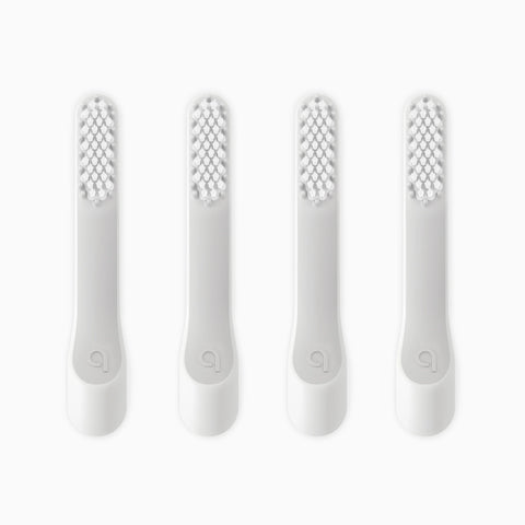 Standard Soft Brush Head Refill
